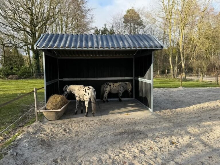 Zuidema paardenboxen