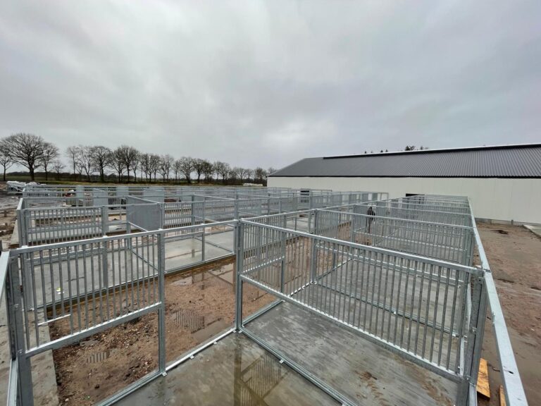 Zuidema paardenboxen