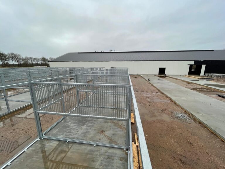 Zuidema paardenboxen
